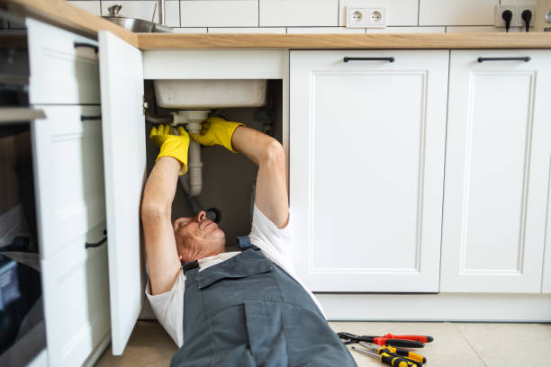 Best Local Plumber Services  in Filer, ID
