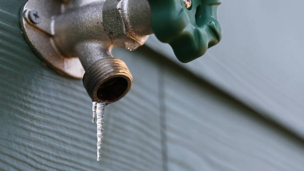 Best Shower Repair Services  in Filer, ID